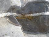 http://i76.photobucket.com/albums/j22/martinb1/Jezerce/P6090167.jpg