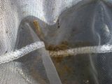 http://i76.photobucket.com/albums/j22/martinb1/Jezerce/P6090166.jpg