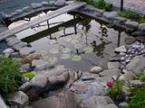 http://i76.photobucket.com/albums/j22/martinb1/Jezerce/P6090176.jpg