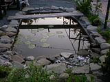 http://i76.photobucket.com/albums/j22/martinb1/Jezerce/P6090175.jpg