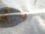 http://i76.photobucket.com/albums/j22/martinb1/Jezerce/P6090168.jpg