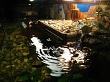 http://s240.photobucket.com/albums/ff86/anixor/?action=view&current=IMG_5007.jpg