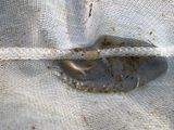 http://i76.photobucket.com/albums/j22/martinb1/Jezerce/P6090169.jpg