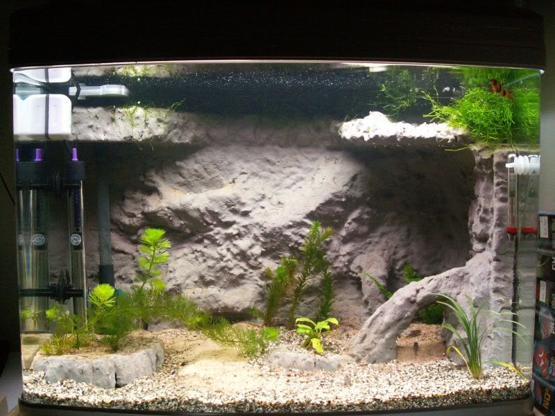 http://i35.photobucket.com/albums/d196/perodinamit/PICT0018-2.jpg