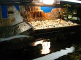 http://s240.photobucket.com/albums/ff86/anixor/?action=view&current=IMG_5008.jpg