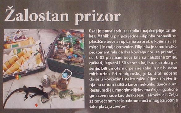 http://i3.photobucket.com/albums/y85/Rinoica/DSC00044-1.jpg