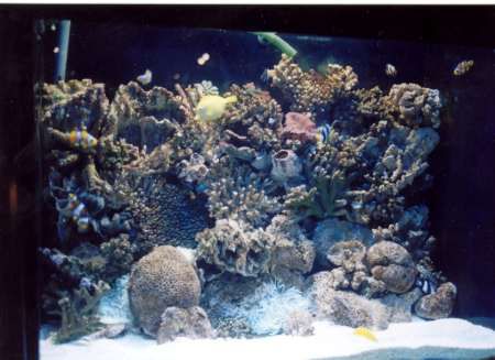 Image Image