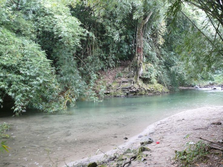 Rio Lancetilla